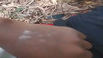 BF Ne GF Ko Jungle Leja Ke Banaya Ghodi Or Muh Me
