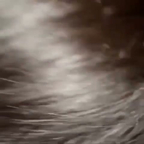 Frame 7