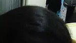 Bhavna Aunty Sucking Cock – Movies
