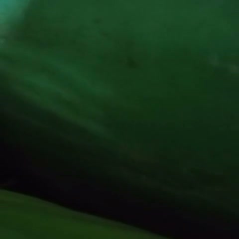 Frame 10