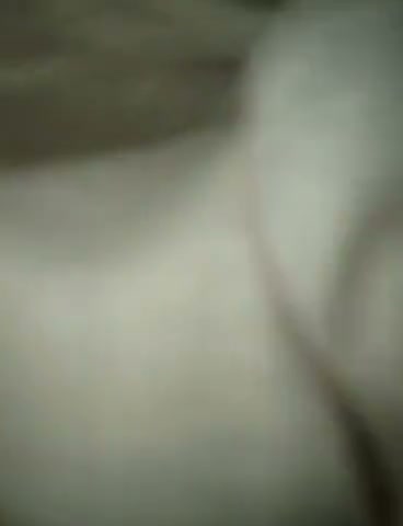 Frame 7