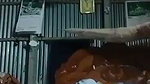 Village boyfriend suck her gf huge boob  enjoying