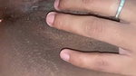desi fun  6