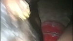 Tamil Wife Midnight Blowjob