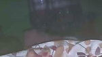 desi sex and nude show  61