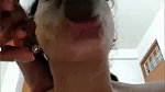 VID 20260528 1240382