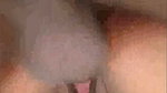 VID 20260528 1240382