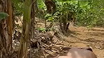 Lady Outdoor riding hard  Fuck