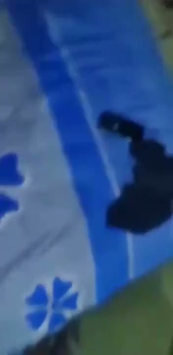 Frame 1
