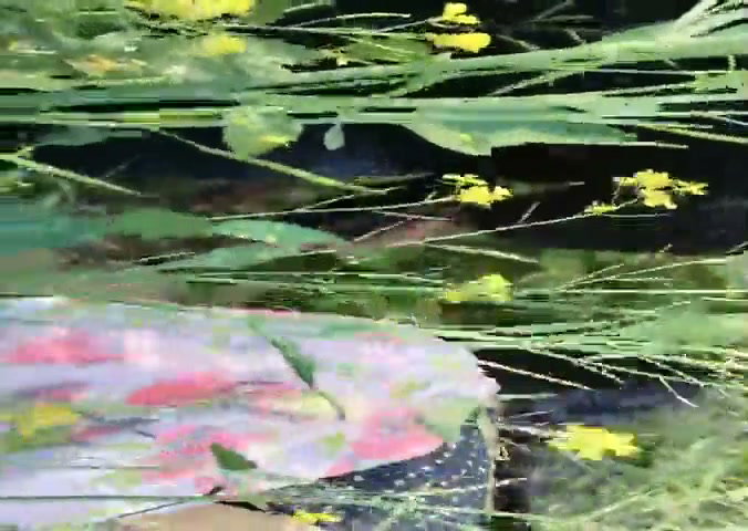 Frame 1
