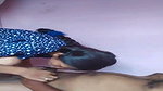 Sexy Biwi Ki Chut Ko Khira Aur Phir Lund Se Chudai