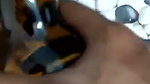 Sexy Randi Ki Chut Ki Lund Aur Bottle Se Chudai