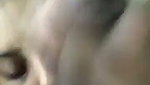 Aunty giving Blowjob to lover