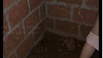 Delhi aunty fuck with ex lover outside house