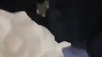 Muslim stepdaughter riding hard