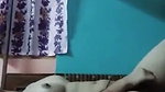 gosh post 512544760000010212 16 31 49 06 28