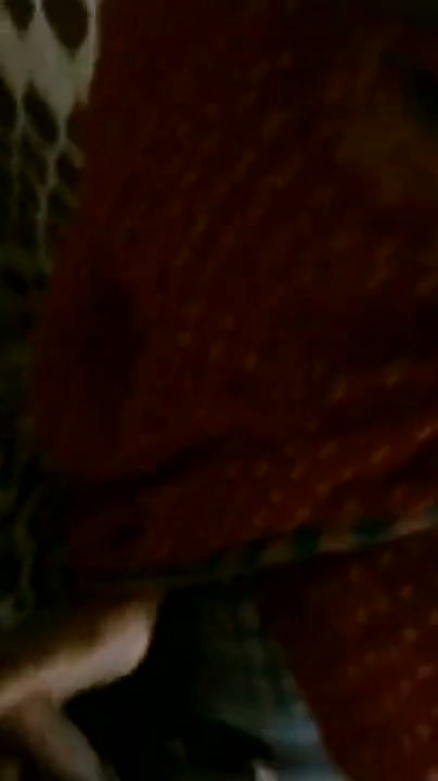 Frame 3