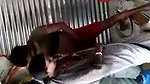 Neighbour uncle fuck friend wife