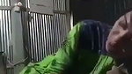 Village sexy girl giving Blowjob to uncle