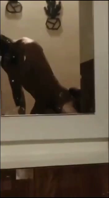 Frame 10
