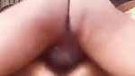 1000221719