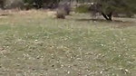 Hot Couple Outdoor Stand Fucking