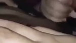 Glasses Hijabi Girl Sucking Dick