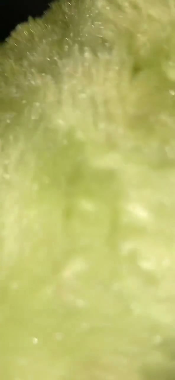 Frame 7