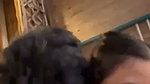 Sexy Gf Fucking In Vacation