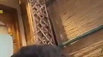 Sexy Gf Fucking In Vacation
