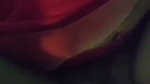 Devar quickly fuck his bhabhi