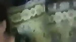 Muslim aunty giving Blowjob