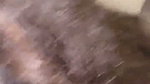 South Indian lady give Blowjob  fuck in her ass