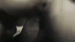 sexy wife 3