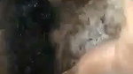 Gaon Ke Bhaiya Bhabhi Ki Jameen Pe Chudai