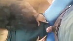 Gf Ne Pyaar Ki Barsaat Kardi Lund Chusai Riding
