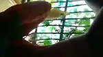 Guwahati girl Bf Ke Lund Pe Baith Ke Chudwati Hui