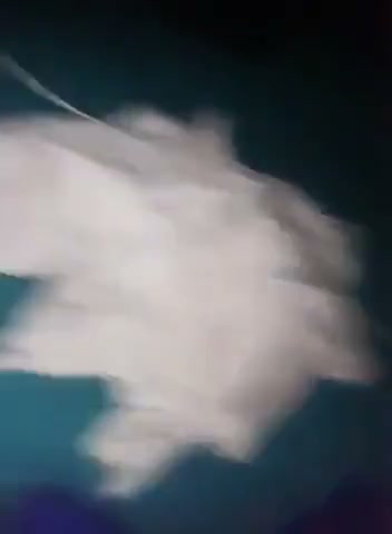 Frame 9