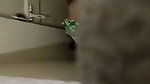 Puplic Toilet Me Sex Karte Hue Pakde Gaye