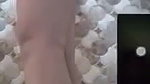 Aunty showing nude body on vc