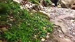Bangalore girlfriend fuck hard with bf outdoor
