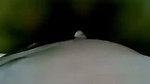Horny Bhabhi giving Blowjob to his partner