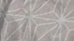 1000157631