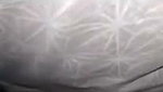 1000157631