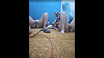 two lesbian getting ready for start a new show