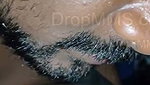 Tamil Young Wife 9