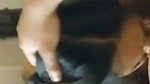 gf ne bj di