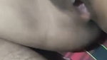 Horny Wife Blowjob Fucking