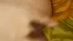 Beautiful girl give Blowjob rubing her pussy  enjoying