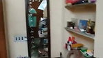Devar jerking his cock infront of bhabhi